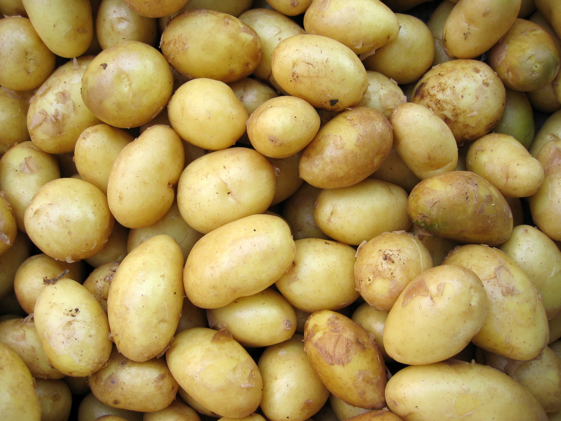 zijn aardappelen gezond?