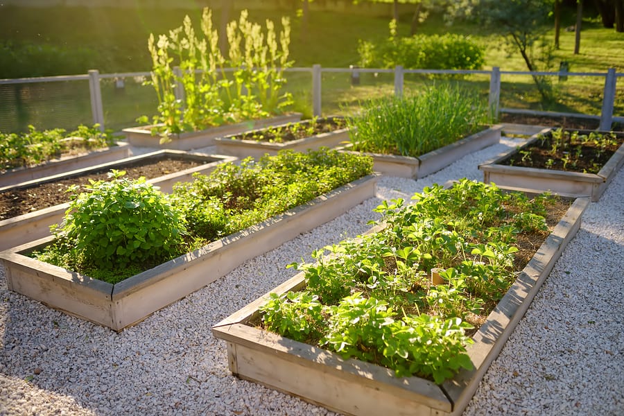 Moestuinbak
