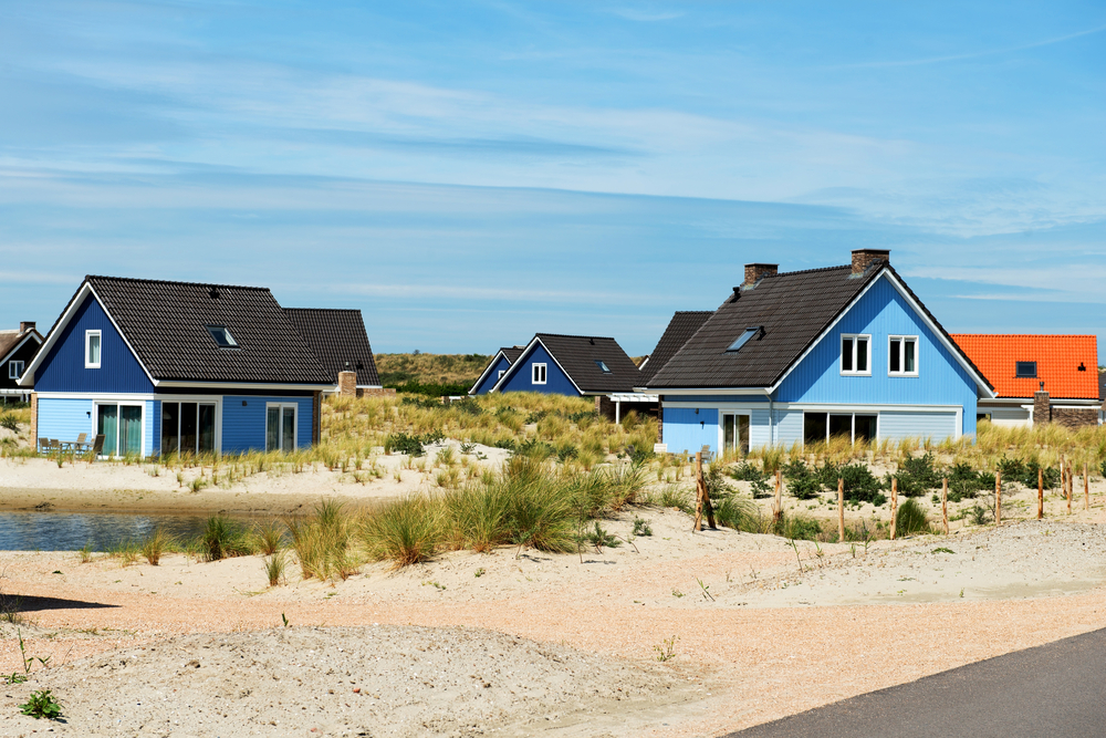 Texel