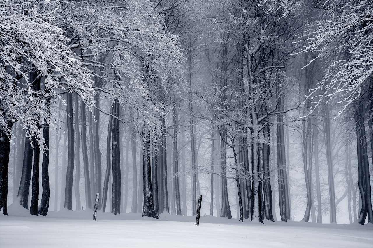 Lekker in je vel in de winter? Zo doe je dat!