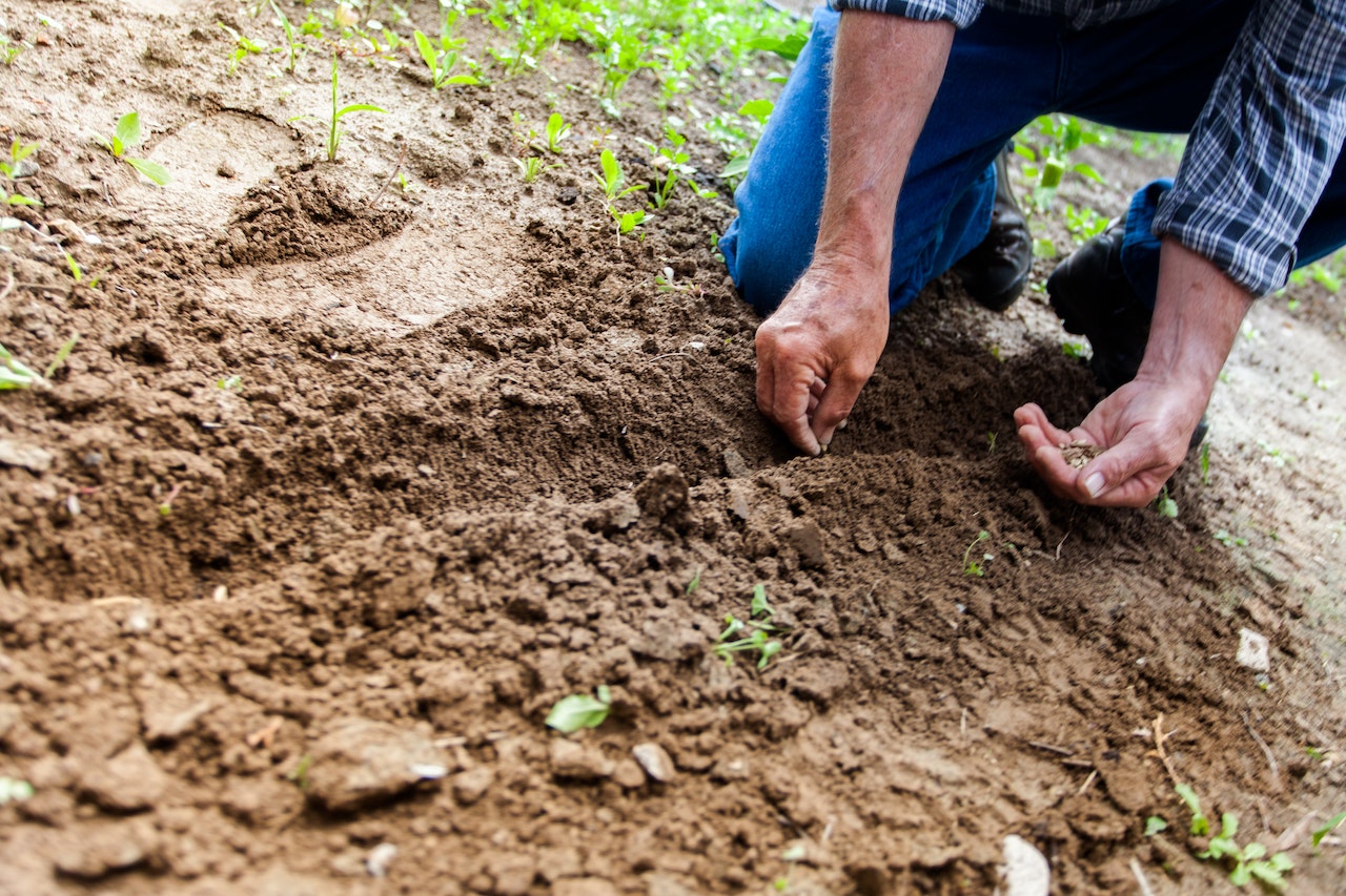 4 tips voor een duurzame tuin deze zomer