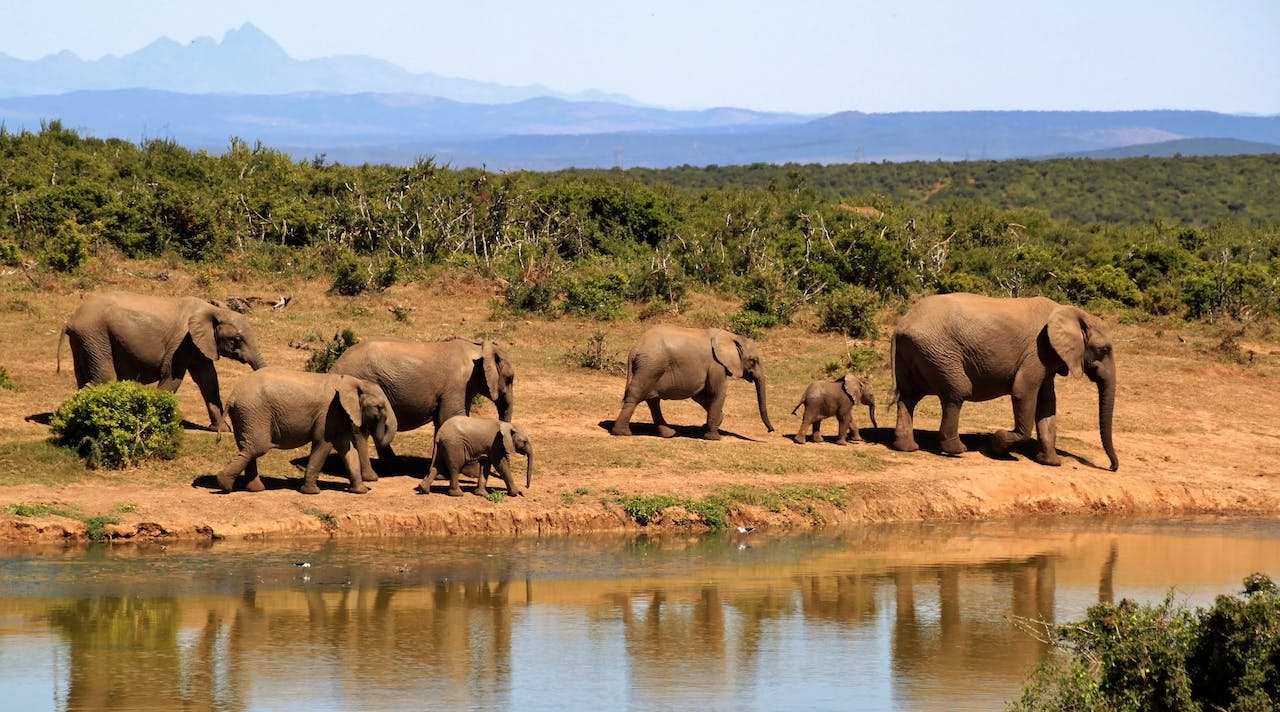 Ontdek de wonderen van een rondreis door Zuid-Afrika en Tanzania