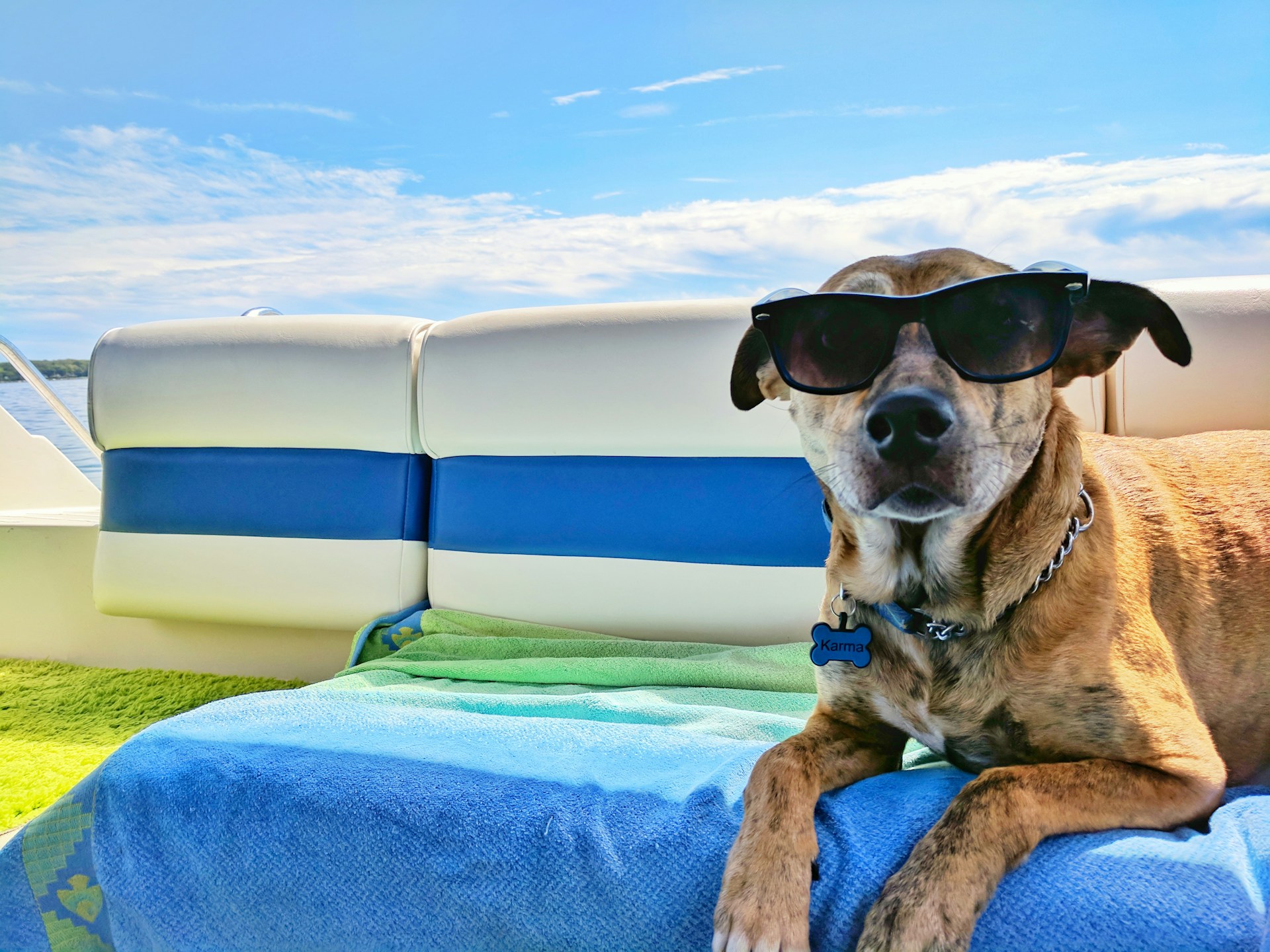 4 tips voor een vakantie samen met de hond