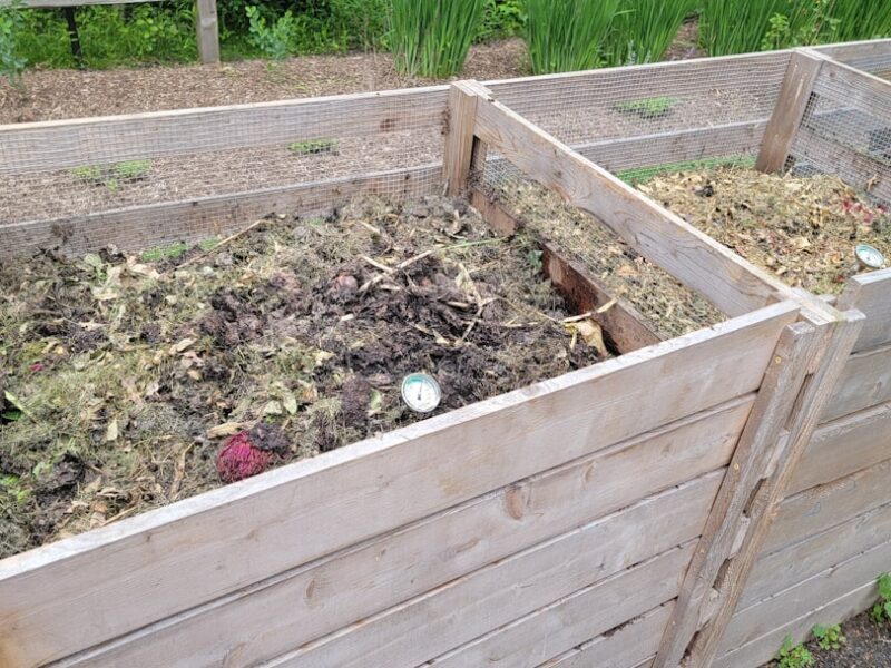 a couple of wooden boxes filled with dirt