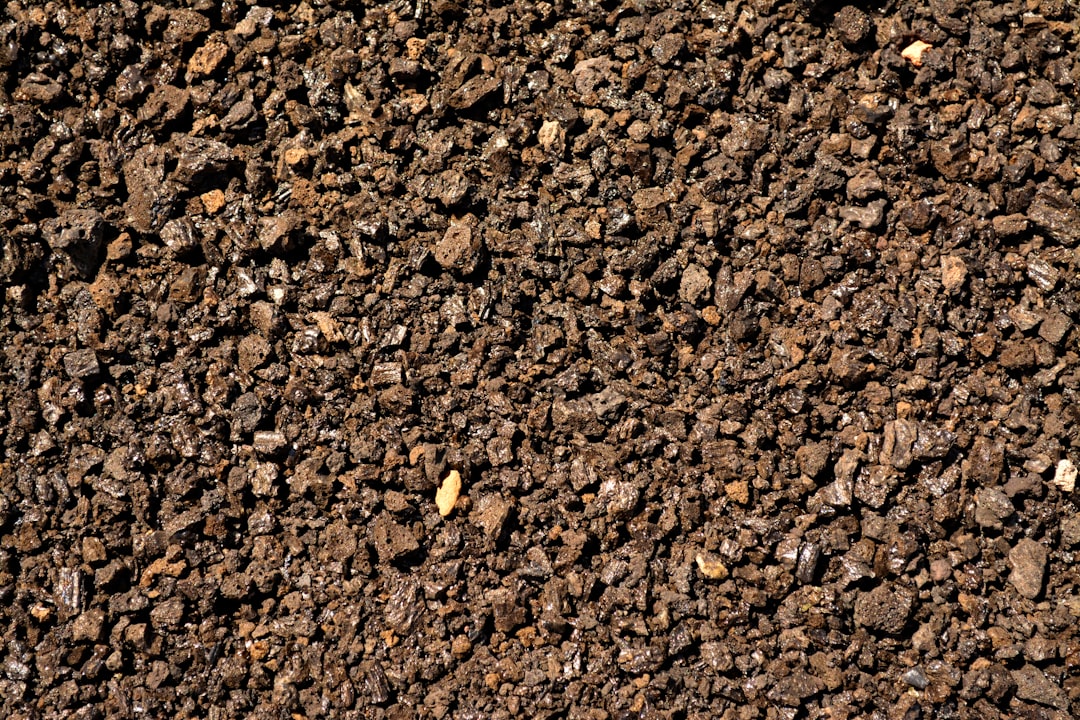 a close up of a dirt surface with small rocks