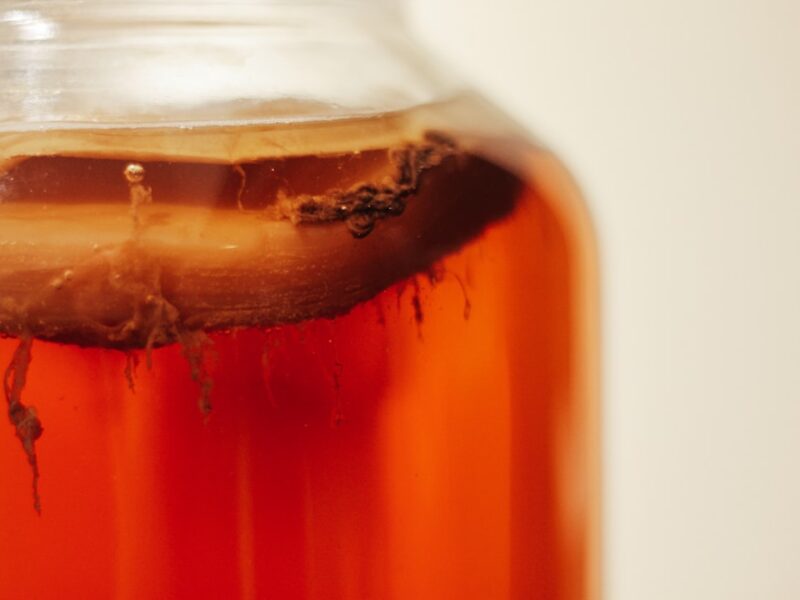 Close-up shot of a kombucha fermenting.