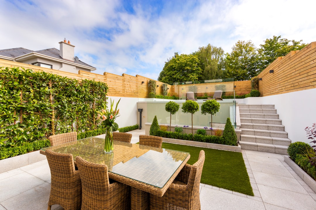 An overview of a back garden in Dublin