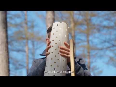Jonge boompjes in een bos met bescherming eromheen