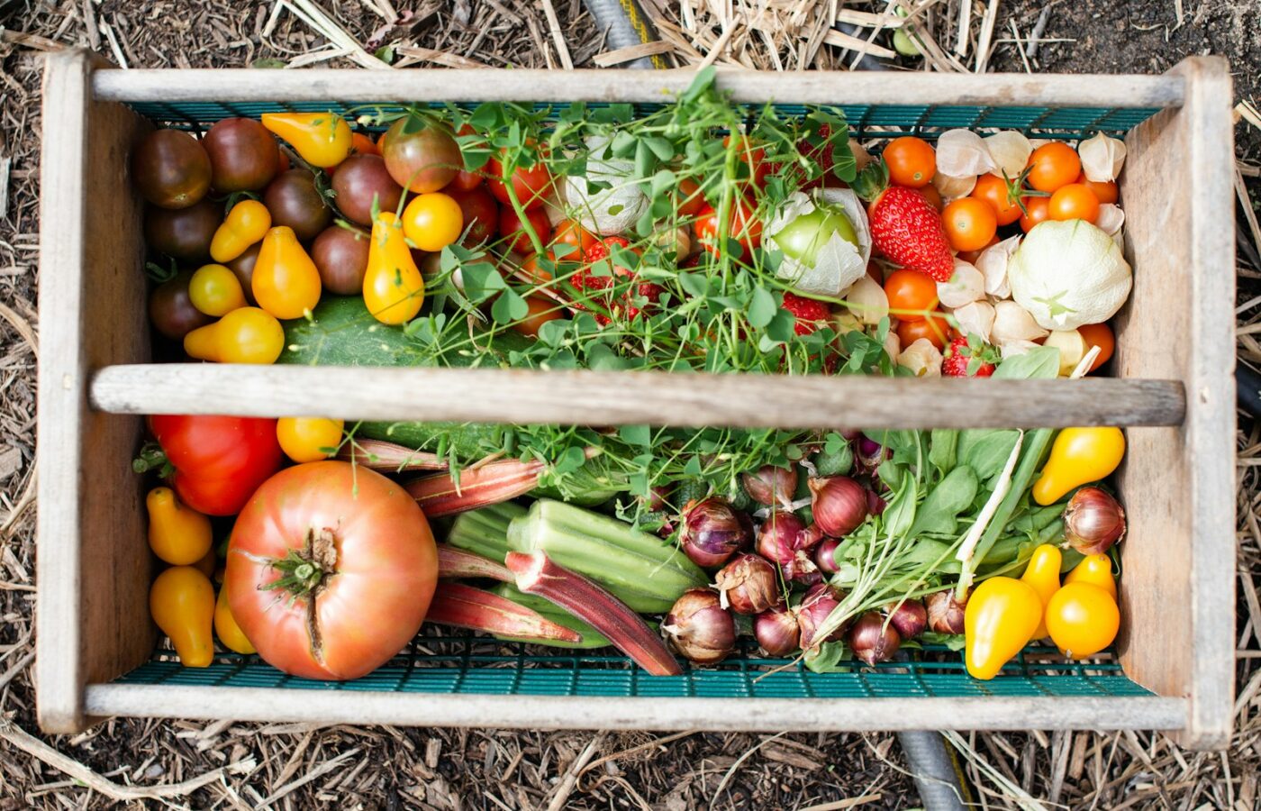 Mand met vers geoogste groenten uit de moestuin