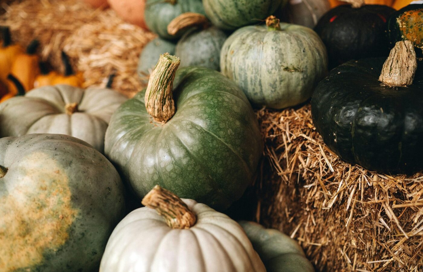 Moestuinbed in de herfst met pompoenen en compost